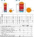 Euromax_WWM3.webp