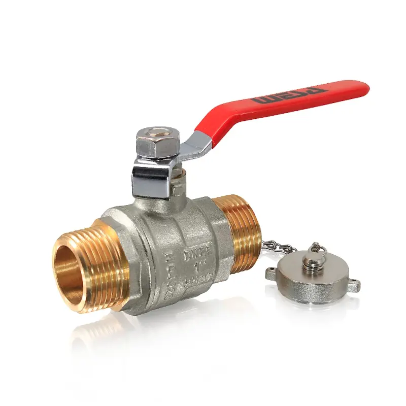 WESA Kugelhahn AG/AG mit Kappe